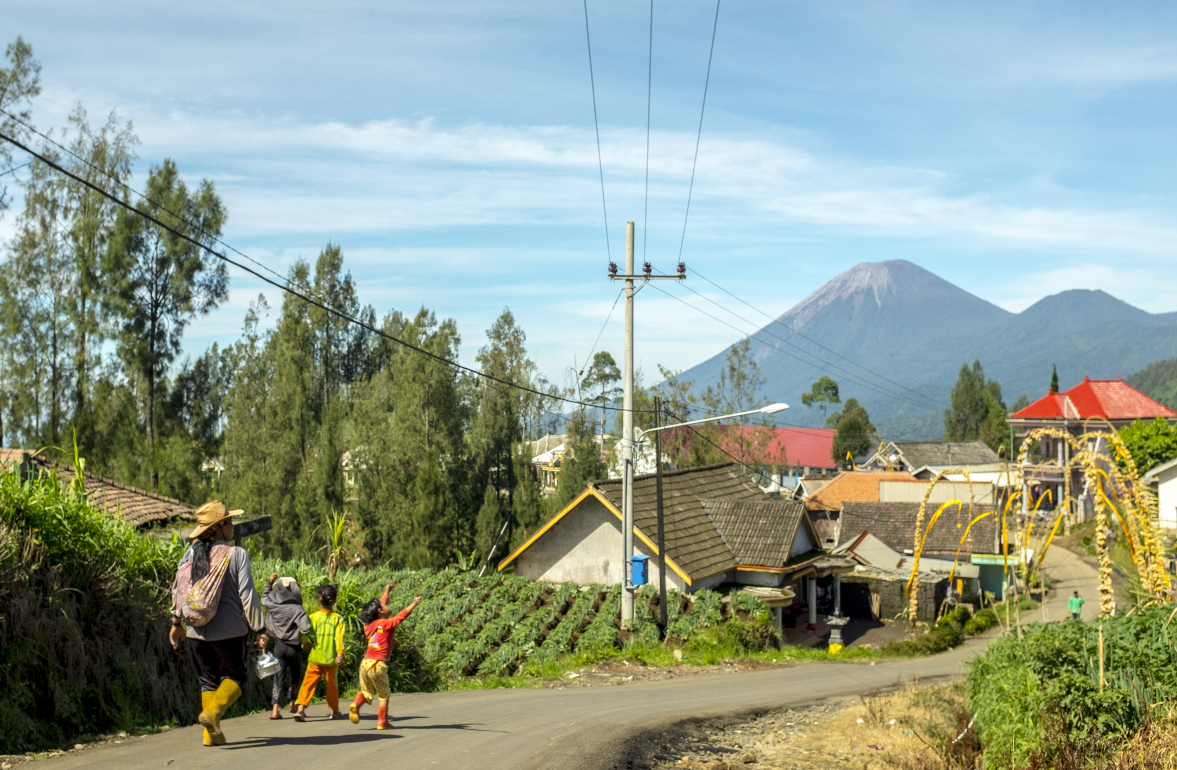 Sensasi Negeri di Atas Awan ala Lumajang