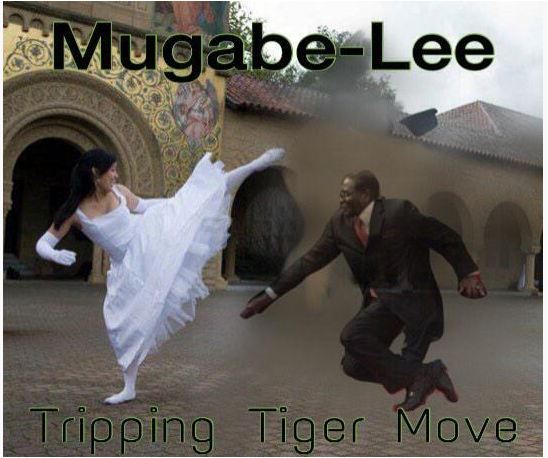 Presiden Zimbabwe, Sudah Jatuh Tertimpa Meme     