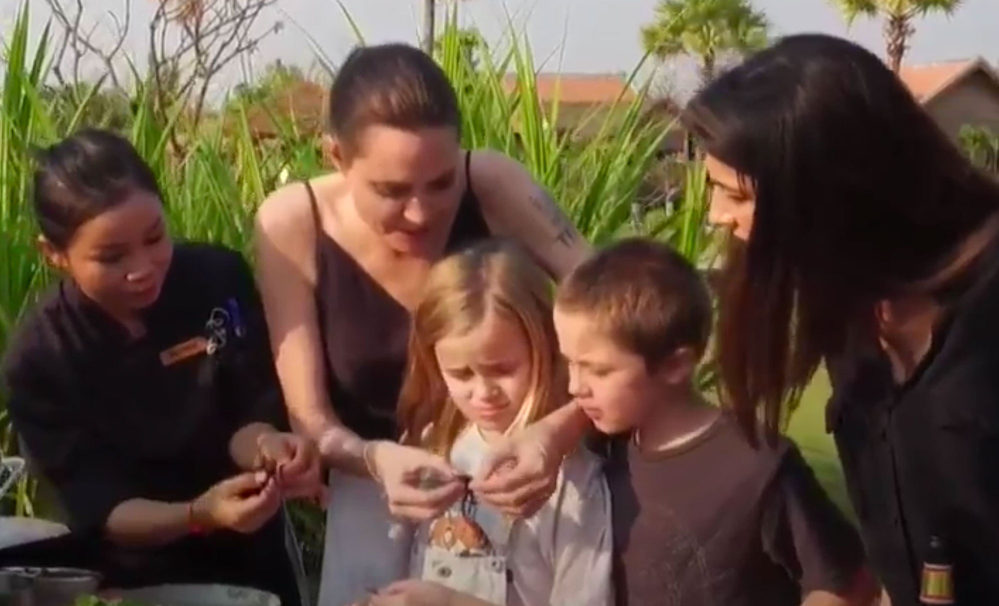 Angelina Jolie Suka Makan Serangga, Bagaimana Gizinya?