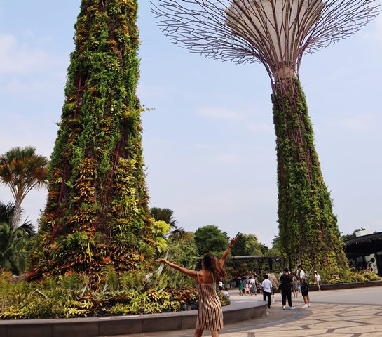 Mengunjungi Supertree Grove di Singapura