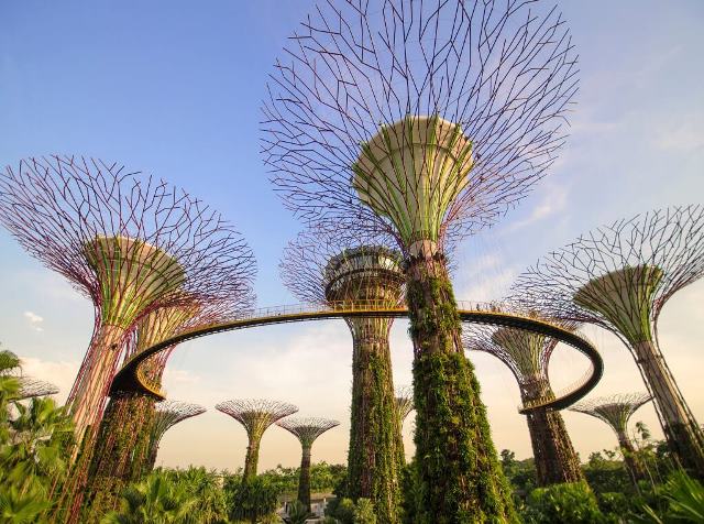 Mengunjungi Supertree Grove di Singapura