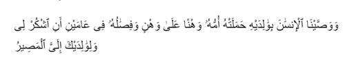 Arti <i>Birrul Walidain</i>, Dalil dan Contoh Perilaku Berbakti kepada Orang Tua