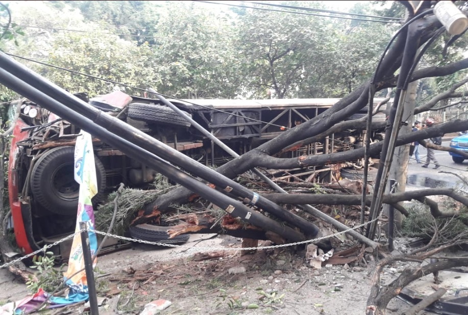 Bus Transjakarta Menabrak Pohon di Jaksel