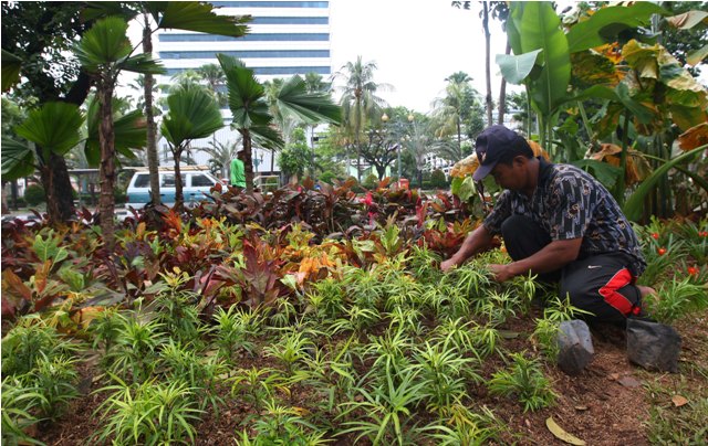 Pembebasan Lahan Jalur Hijau di DKI Mangkrak