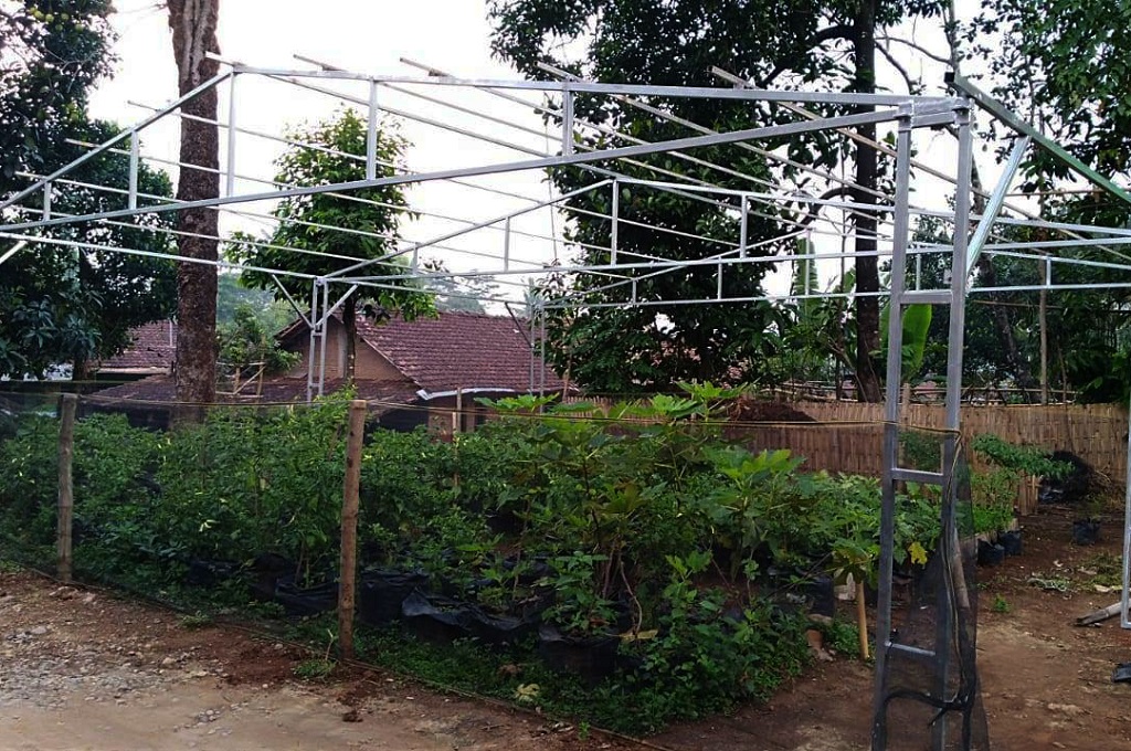 Kreasi Sarjana Sastra di Pertanian Organik