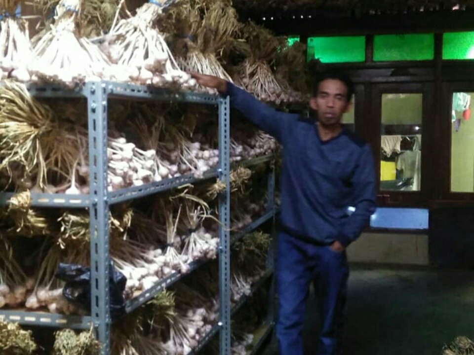 Liku-Liku Petani Bawang Putih Karanganyar Kejar Mimpi Swasembada