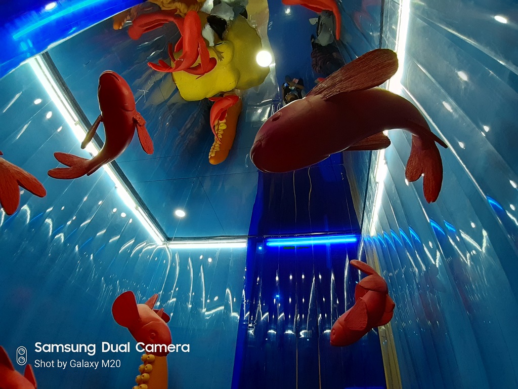 Isi Kotak dan Hasil Foto Samsung Galaxy M20