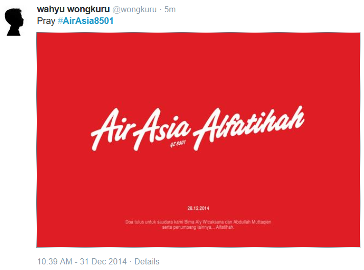 AirAsia QZ8501: They Dont Die, The Just Fly Higher