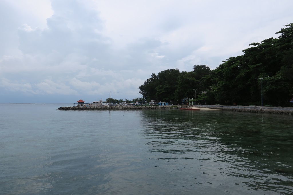 Ambil Foto Tanpa Ribet Pakai Canon PowerShot G3 X