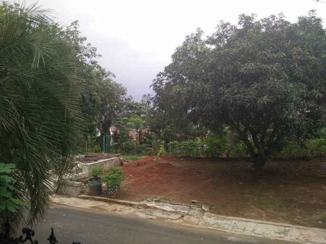 Oppo R5, Smartphone Tipis dengan Performa Gemuk    