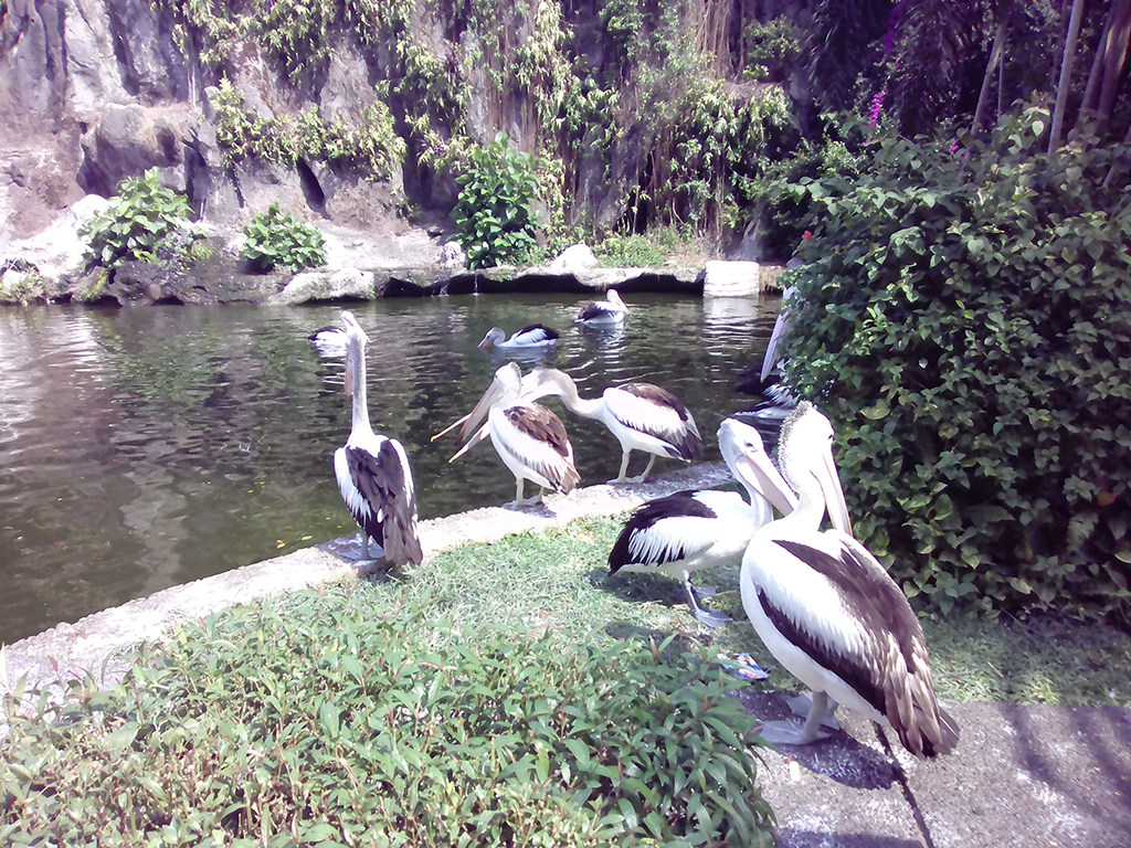 Empat Keunggulan Kamera Huawei Y3  