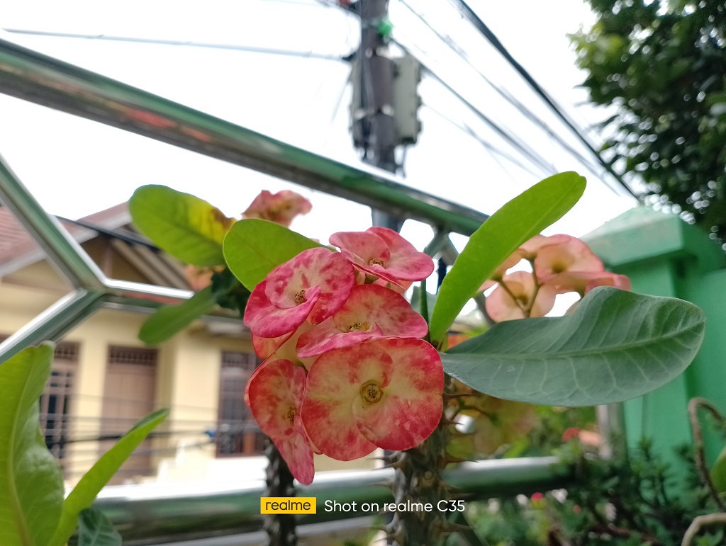 Review realme C35, Penuh Gaya Tak Seperti Smartphone Entry-Level