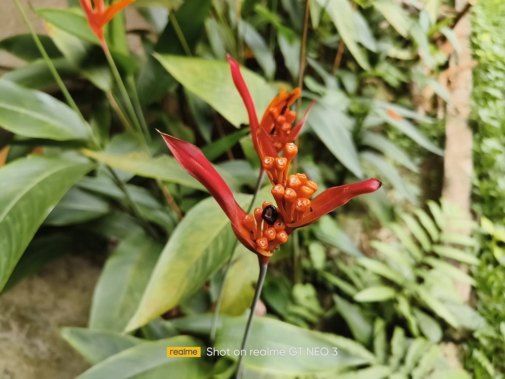 Review realme GT Neo 3, Tampilan dan Performa ala Mobil Balap