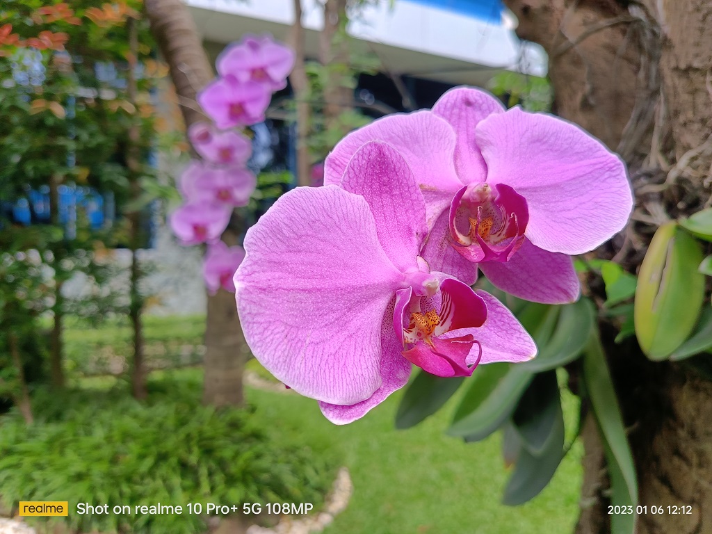 Review realme 10 Pro+ 5G, Desain Mewah Jagoan Kelas Menengah