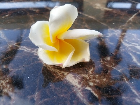 Meizu M6, Si Kecil Baterai Irit