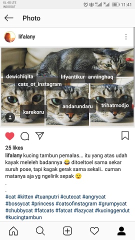 Menghapus Tag Akun Instagram di Foto, Begini Caranya