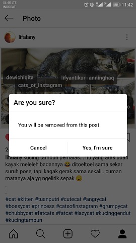 Menghapus Tag Akun Instagram di Foto, Begini Caranya