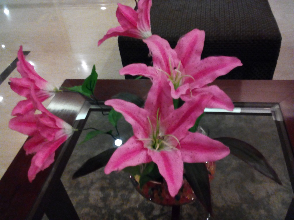 Evercoss Winner Y Star Plus, Ponsel Rp1 Juta yang Tahan Banting