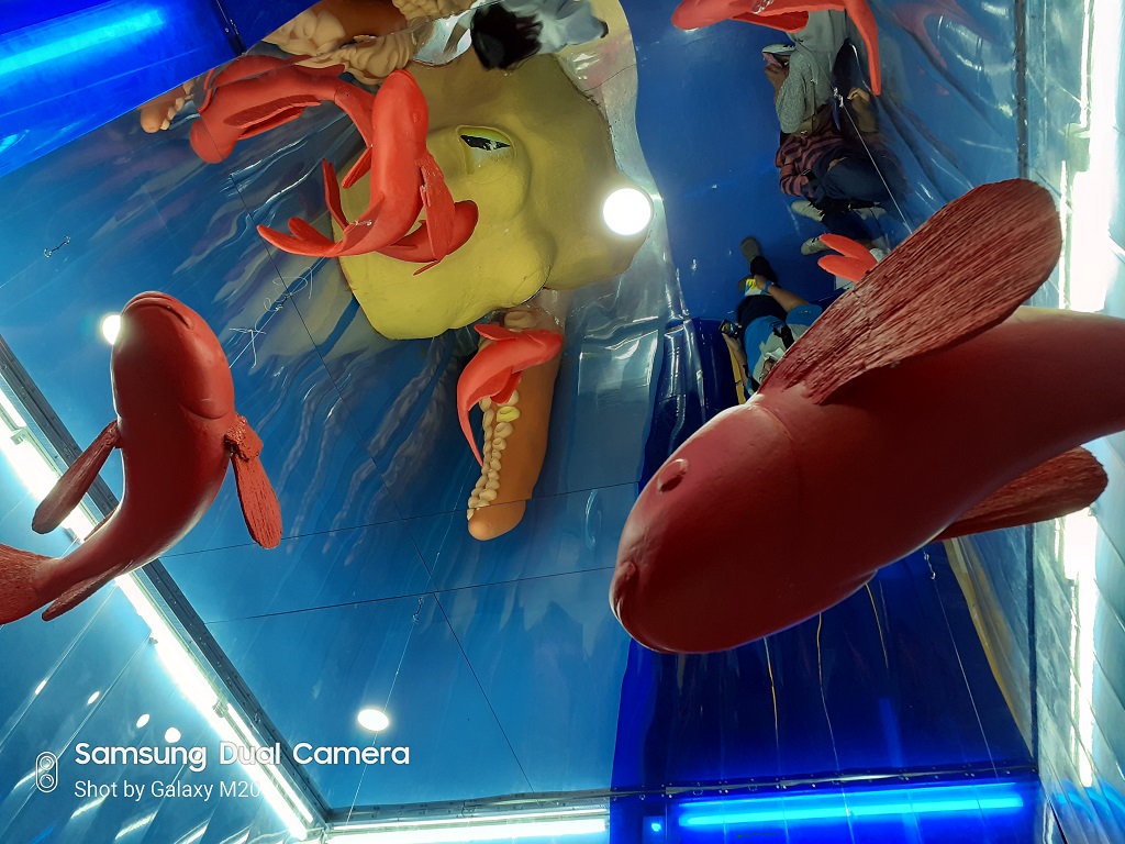 Isi Kotak dan Hasil Foto Samsung Galaxy M20