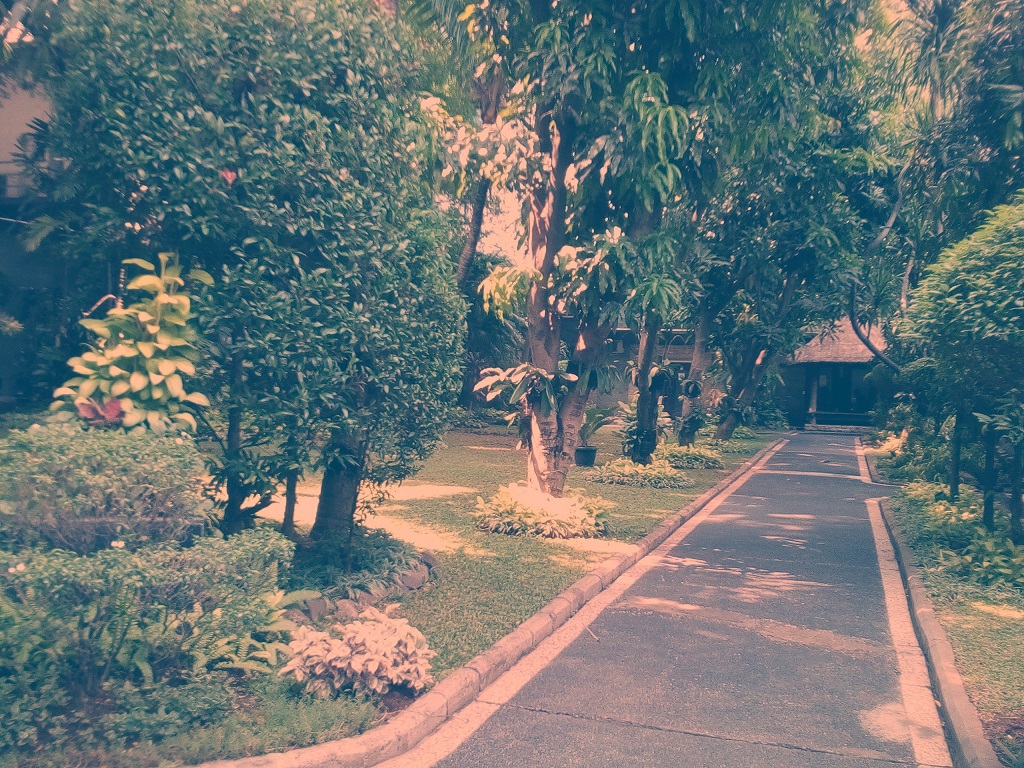 Evercoss Winner Y Star Plus, Ponsel Rp1 Juta yang Tahan Banting