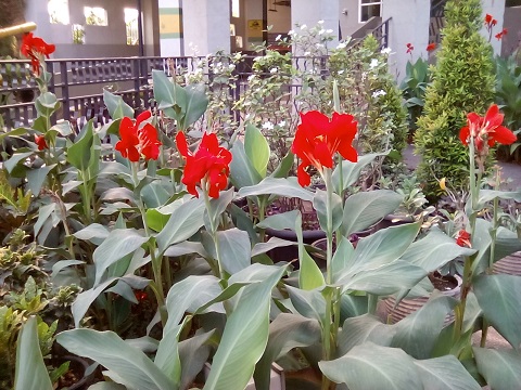 Lenovo Tab 2 A7-30, Tablet Terjangkau Tanpa Fitur Istimewa