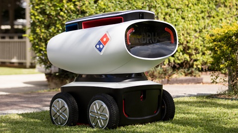 Domino Robotic Unit