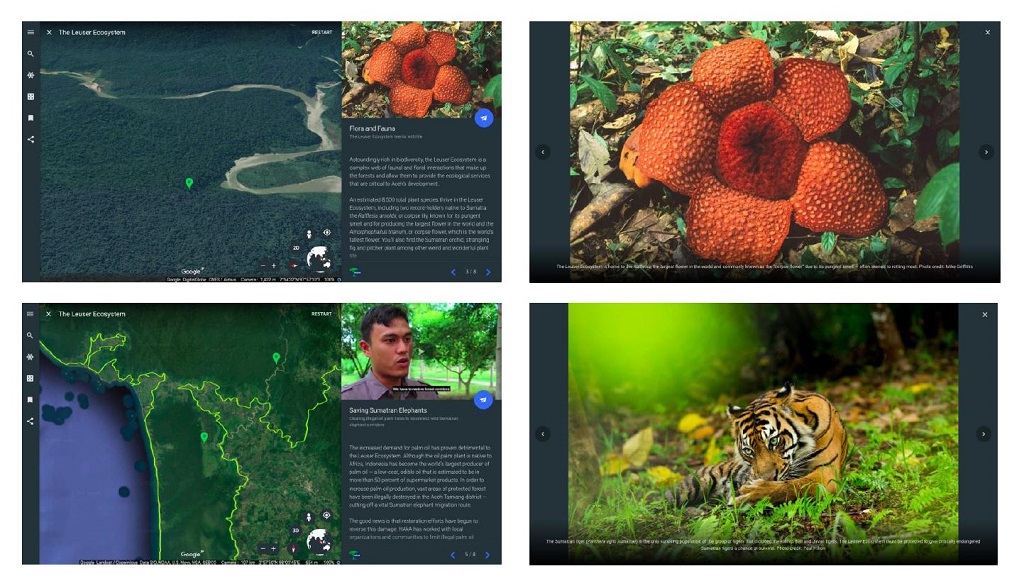 Anda Bisa Jelajahi Kawasan Gunung Leuser di Google Earth