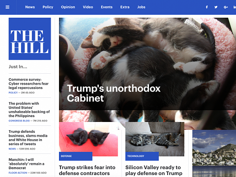 Ekstensi Chrome Sulap Foto Trump Jadi Kucing