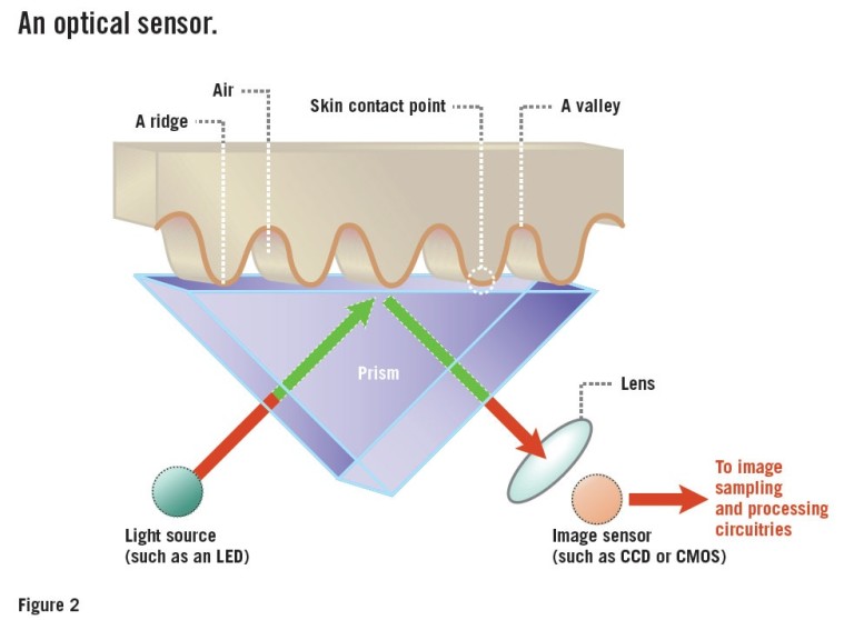 Mengenal Tiga Macam Sensor Sidik Jari di Ponsel