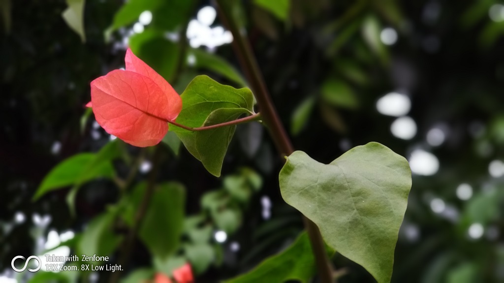 Menjajal Ponsel Dua Kamera Asus Zenfone Zoom S Medcom Id