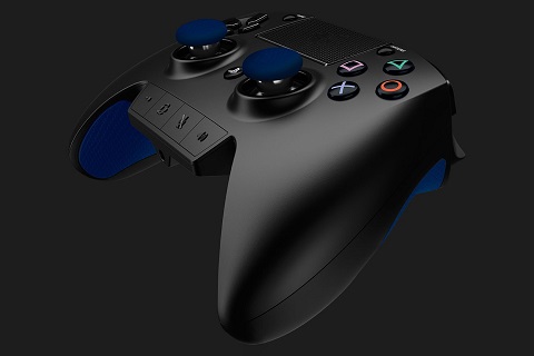 Razer Raiju, Premium dan Spesial Esport