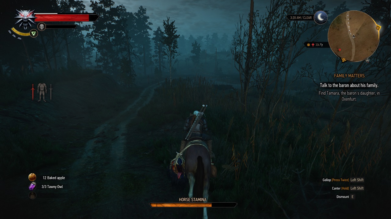 The Witcher 3: Wild Hunt, Apik dan Mengagumkan  