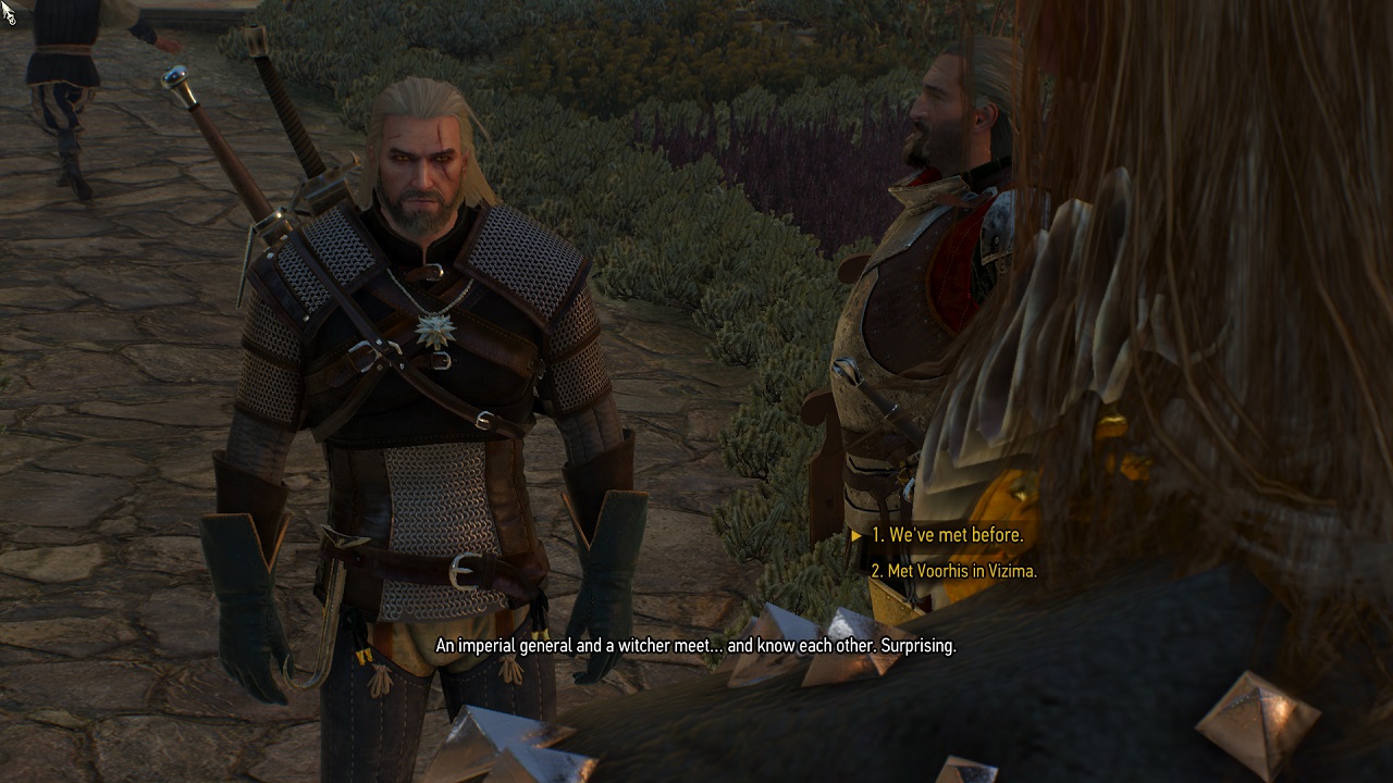 The Witcher 3: Wild Hunt, Apik dan Mengagumkan  
