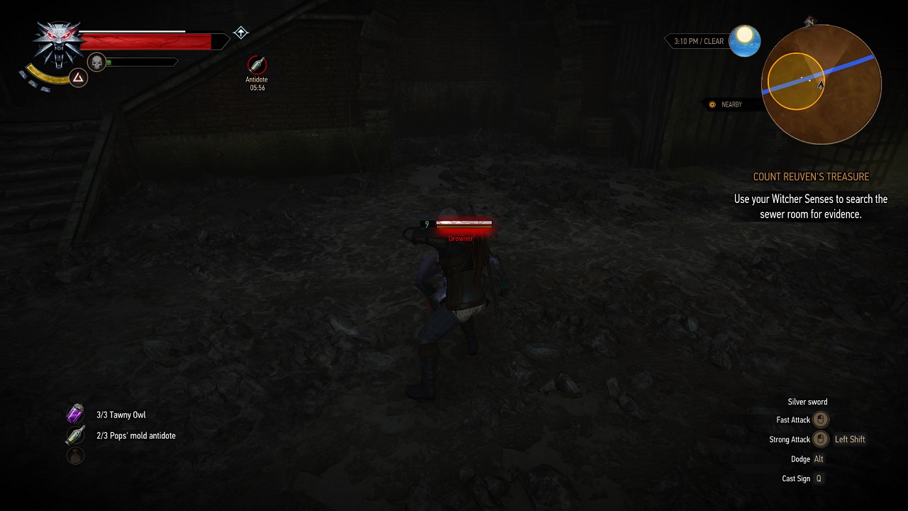 The Witcher 3: Wild Hunt, Apik dan Mengagumkan  