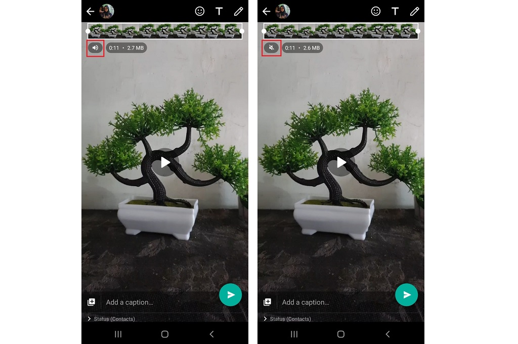 Ini Cara Manfaatkan Fitur Mute Video WhatsApp