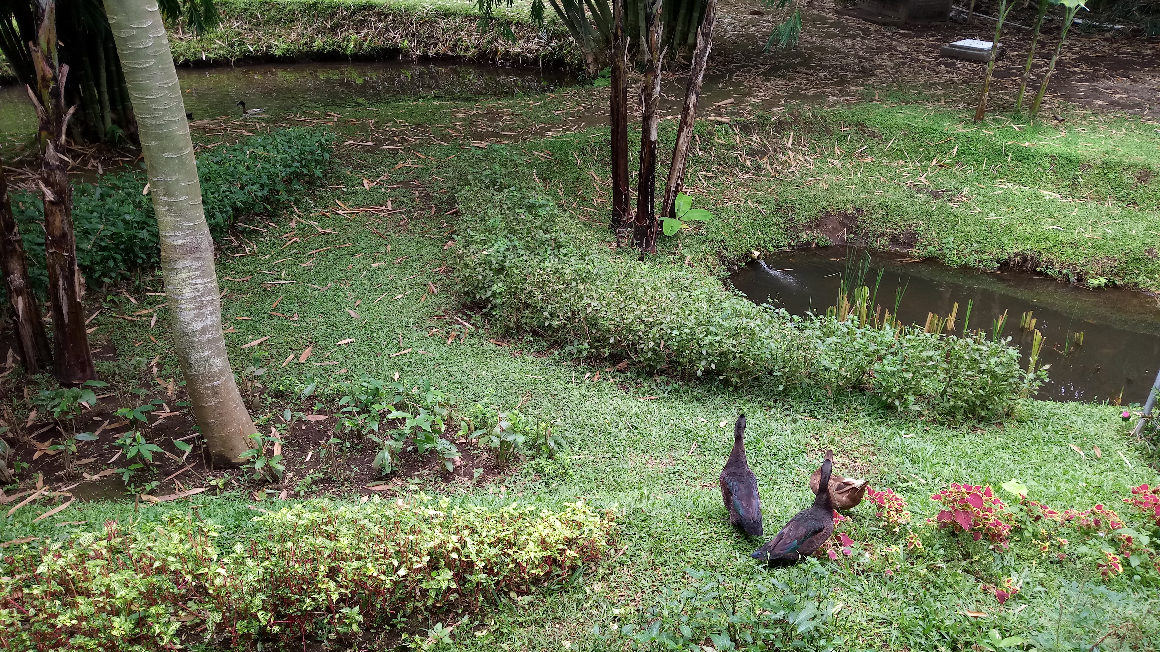 Motorola Moto M, Si Kelas Menengah yang Elegan dan Andal