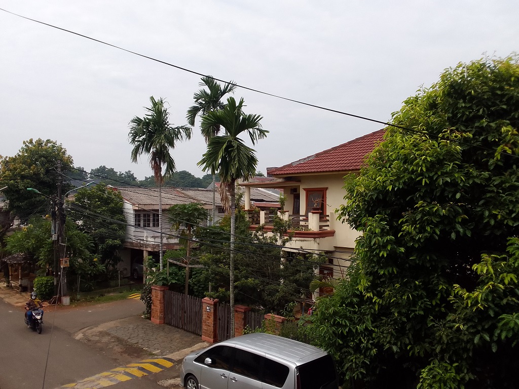 Samsung Galaxy A03 Core, Desain Unik, Layar Luas