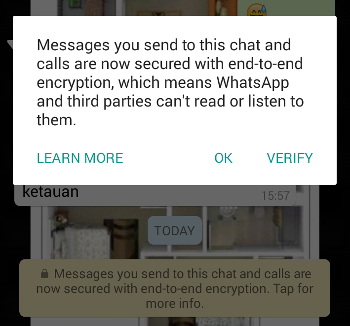 Inilah Fitur Enkripsi WhatsApp