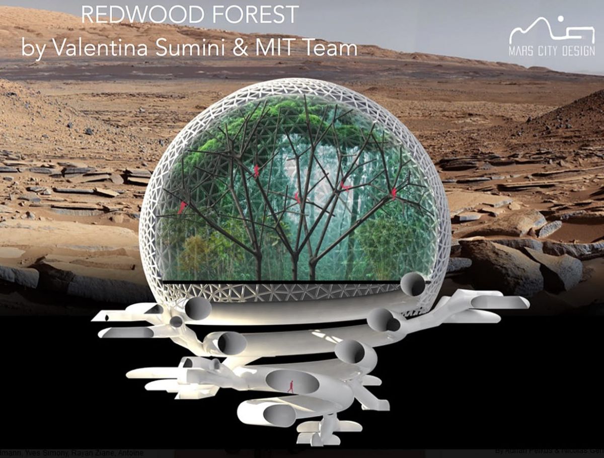 Redwood Forest, Desain Kota Mars Rancangan Ilmuwan MIT