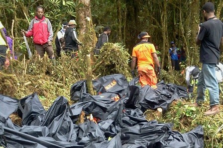 Kabasarnas Terbang ke Lokasi Pimpin Evakuasi Korban Trigana Air