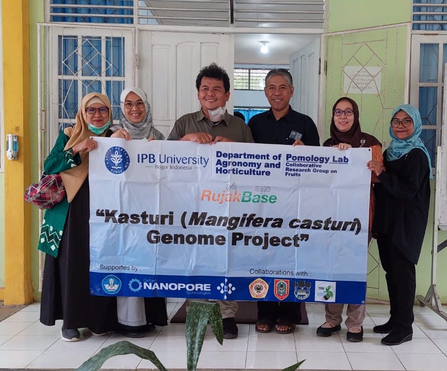 Dosen IPB Teliti Mangga Kasturi, Endemik Kalimantan Selatan yang Hampir Punah