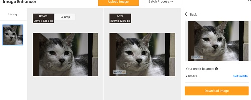 5 Website Penjernih Foto Blur Online Otomatis: Sulap Foto Buram Jadi Jelas dan Tajam