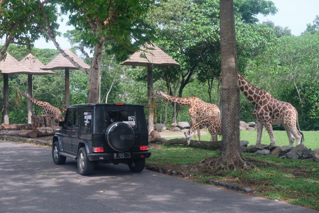Mercedes Jip Indonesia, Tour Akhir Tahun ke Jawa Timur