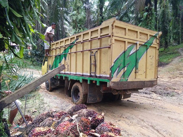 Gara-gara Sawit