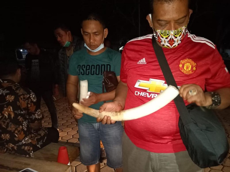 3 Penjual Gading Gajah Ditangkap