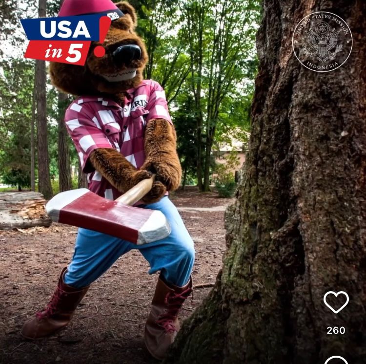 Intip 5 Maskot Milik Kampus di Amerika Serikat