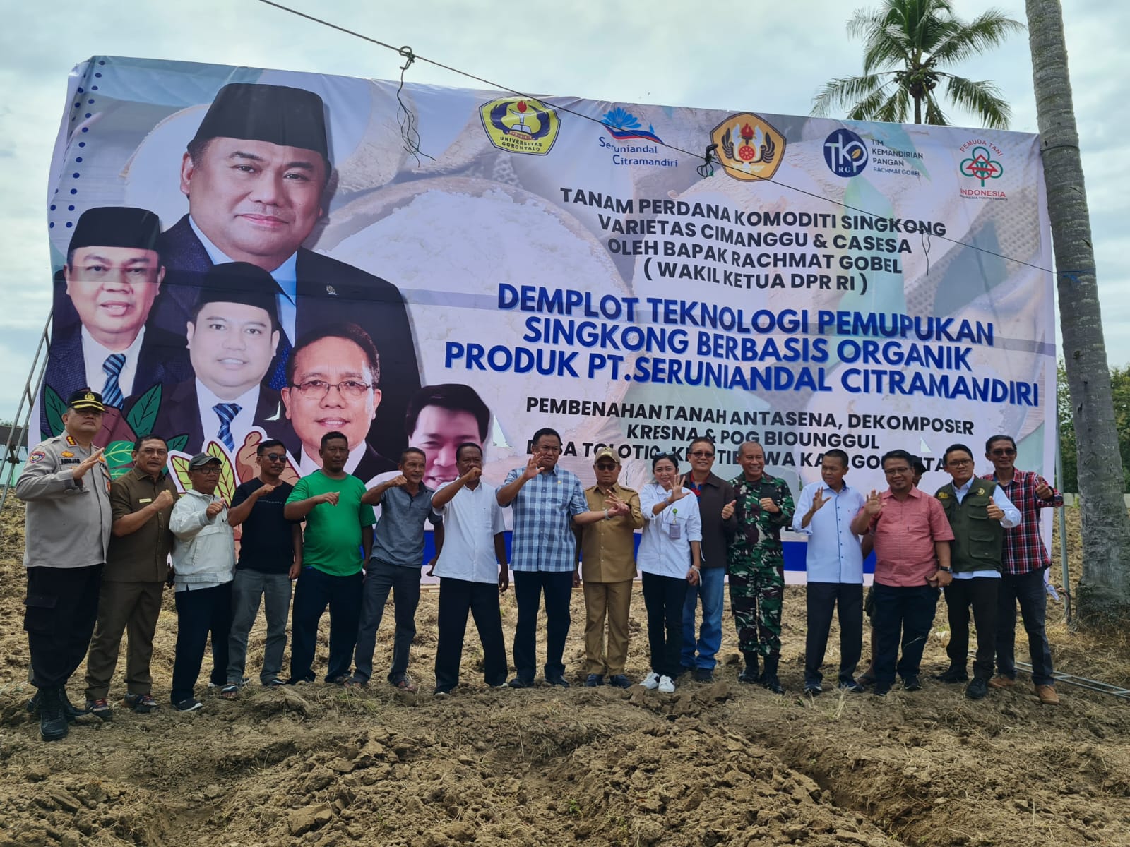 Tanam Singkong Organik, Gobel Ingin Sejahterakan Warga Gorontalo