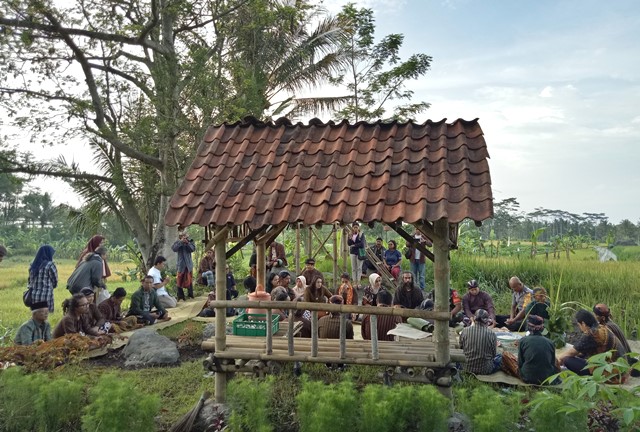 Tradisi Wiwitan di Cancangan