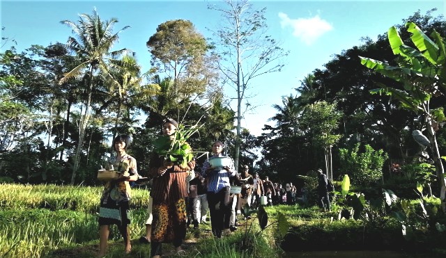 Wiwitan, Wujud Terima Kasih Petani Cancangan pada Bumi