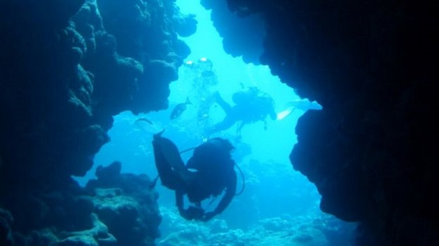 Hilang Dua Tahun di Laut, Kamera Ini Masih Berfungsi Normal